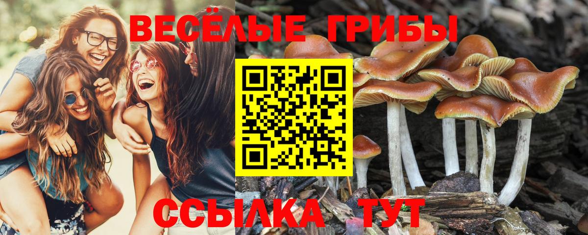 Галлюциногенные грибы мицелий  Псилоцибиновые грибы ЛСД  Вход с VPN  Соль-Илецк 